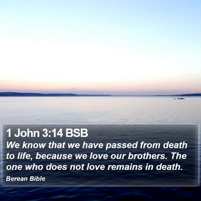 1 John 3:14 BSB Bible Verse Image
