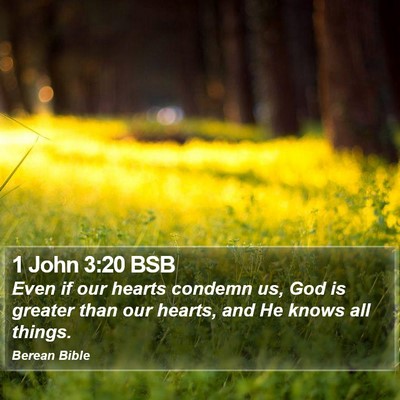 1 John 3:20 BSB Bible Verse Image