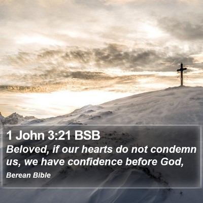 1 John 3:21 BSB Bible Verse Image