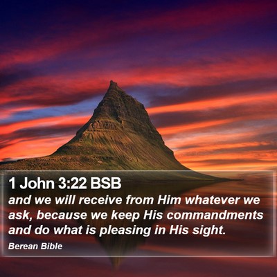 1 John 3:22 BSB Bible Verse Image
