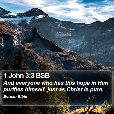 1 John 3:3 BSB Bible Verse Image