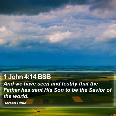 1 John 4:14 BSB Bible Verse Image
