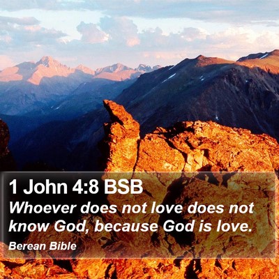 1 John 4:8 BSB Bible Verse Image
