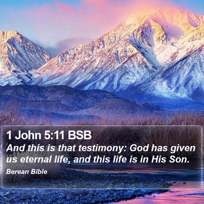 1 John 5:11 BSB Bible Verse Image