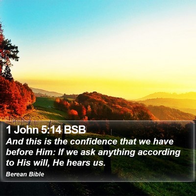 1 John 5:14 BSB Bible Verse Image