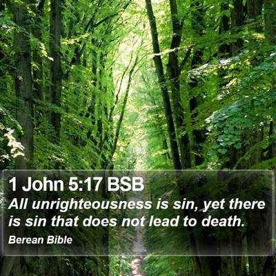 1 John 5:17 BSB Bible Verse Image