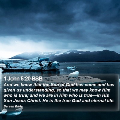 1 John 5:20 BSB Bible Verse Image