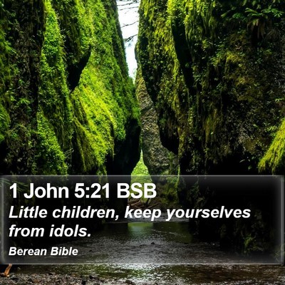 1 John 5:21 BSB Bible Verse Image
