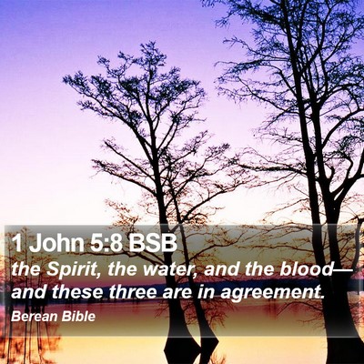 1 John 5:8 BSB Bible Verse Image