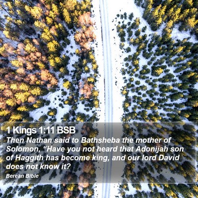 1 Kings 1:11 BSB Bible Verse Image