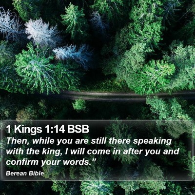 1 Kings 1:14 BSB Bible Verse Image
