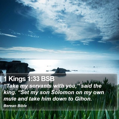 1 Kings 1:33 BSB Bible Verse Image