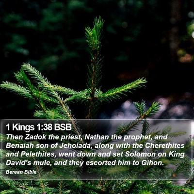 1 Kings 1:38 BSB Bible Verse Image