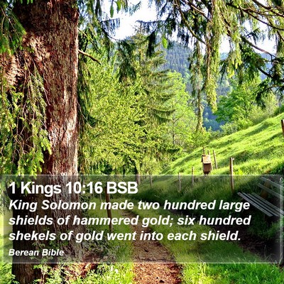 1 Kings 10:16 BSB Bible Verse Image