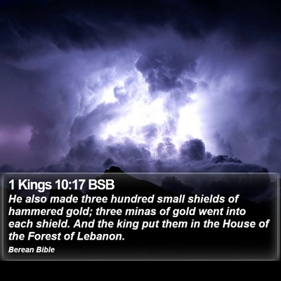 1 Kings 10:17 BSB Bible Verse Image