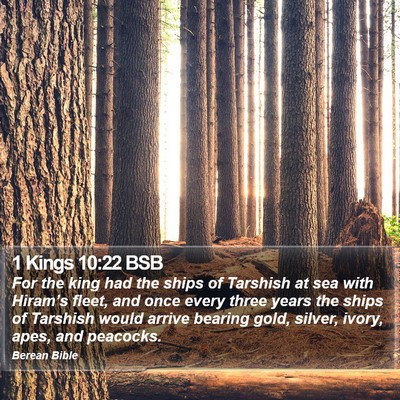 1 Kings 10:22 BSB Bible Verse Image