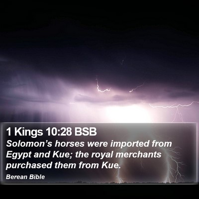 1 Kings 10:28 BSB Bible Verse Image