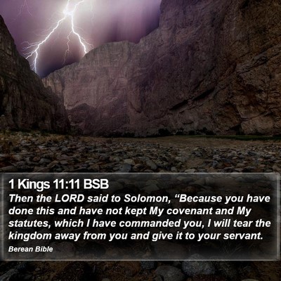 1 Kings 11:11 BSB Bible Verse Image
