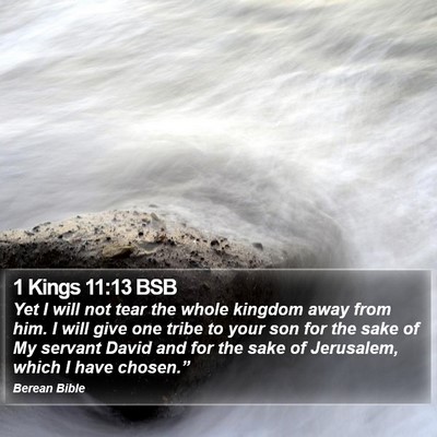 1 Kings 11:13 BSB Bible Verse Image