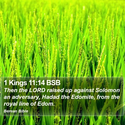 1 Kings 11:14 BSB Bible Verse Image