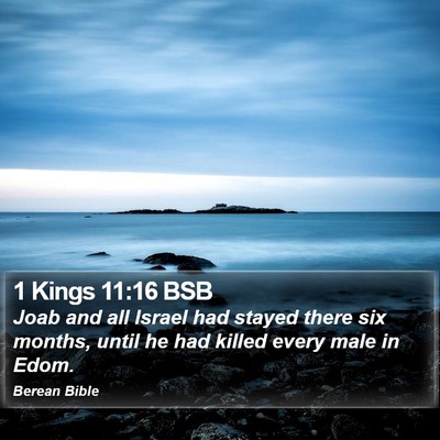 1 Kings 11:16 BSB Bible Verse Image
