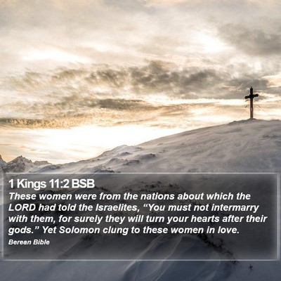 1 Kings 11:2 BSB Bible Verse Image