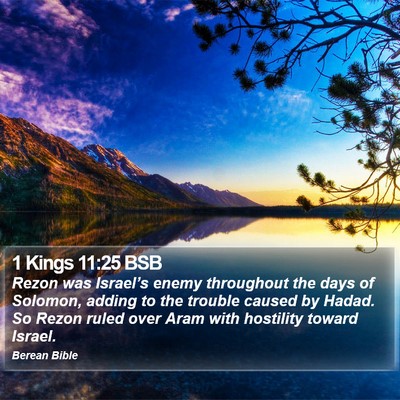 1 Kings 11:25 BSB Bible Verse Image