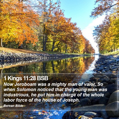 1 Kings 11:28 BSB Bible Verse Image