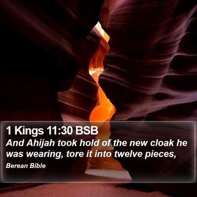 1 Kings 11:30 BSB Bible Verse Image
