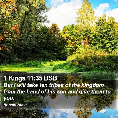 1 Kings 11:35 BSB Bible Verse Image