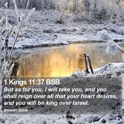 1 Kings 11:37 BSB Bible Verse Image
