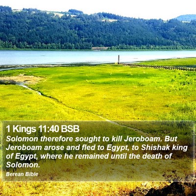 1 Kings 11:40 BSB Bible Verse Image
