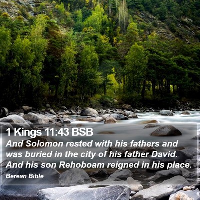 1 Kings 11:43 BSB Bible Verse Image