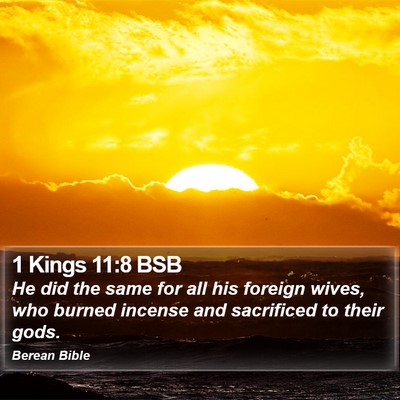 1 Kings 11:8 BSB Bible Verse Image