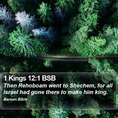 1 Kings 12:1 BSB Bible Verse Image