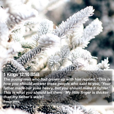 1 Kings 12:10 BSB Bible Verse Image