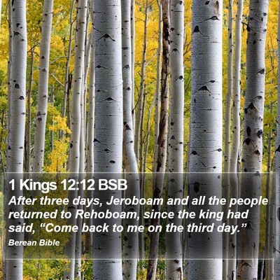 1 Kings 12:12 BSB Bible Verse Image