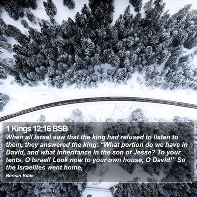 1 Kings 12:16 BSB Bible Verse Image