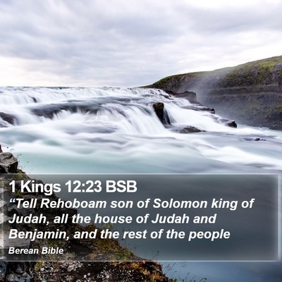 1 Kings 12:23 BSB Bible Verse Image
