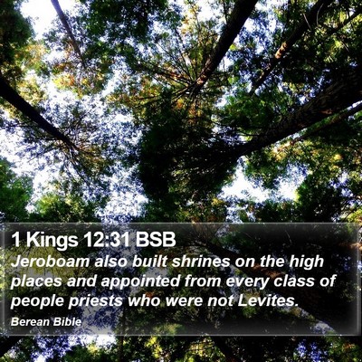 1 Kings 12:31 BSB Bible Verse Image