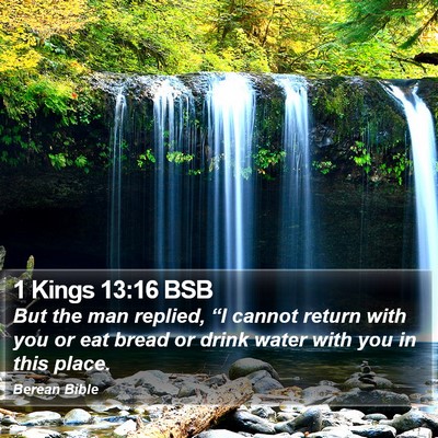 1 Kings 13:16 BSB Bible Verse Image