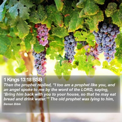 1 Kings 13:18 BSB Bible Verse Image