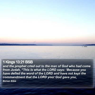 1 Kings 13:21 BSB Bible Verse Image