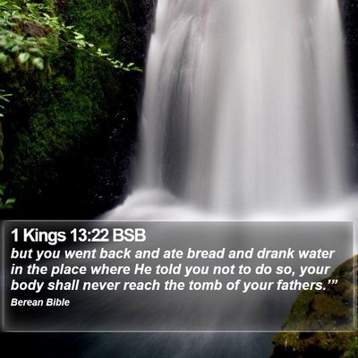 1 Kings 13:22 BSB Bible Verse Image