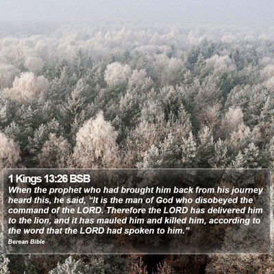1 Kings 13:26 BSB Bible Verse Image