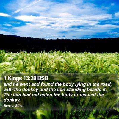 1 Kings 13:28 BSB Bible Verse Image