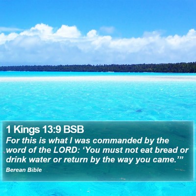 1 Kings 13:9 BSB Bible Verse Image