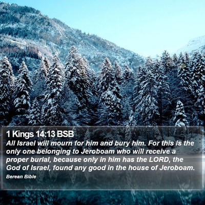 1 Kings 14:13 BSB Bible Verse Image