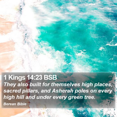 1 Kings 14:23 BSB Bible Verse Image
