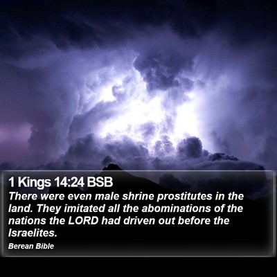 1 Kings 14:24 BSB Bible Verse Image